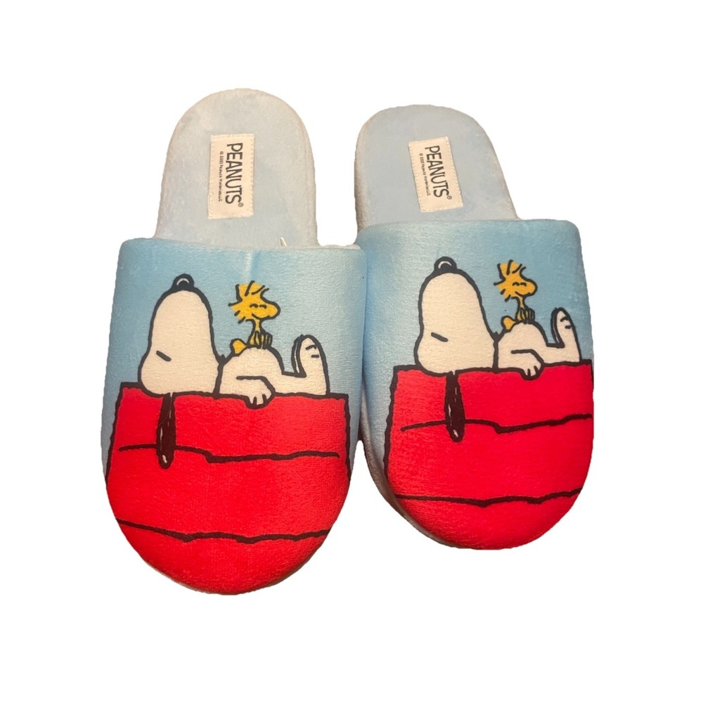 Peanuts Children's Size L/XL Snoopy & Woodstock House Shoes Slippers NWOT